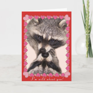 Cartão De Festividades Kissing Raccoons