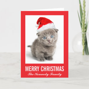 Cartão De Festividades Kitten wearing a Santa hat
