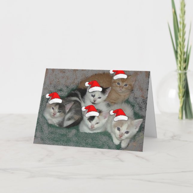 Cartão De Festividades Kittens Natal (Frente)