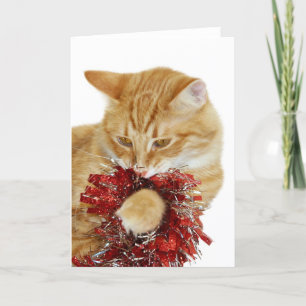 Cartão De Festividades Kitty Christmas card