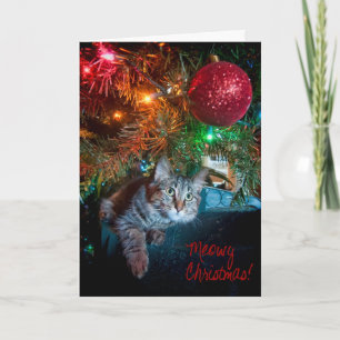 Cartão De Festividades Kizmet the Kitten Holiday Greeting Card