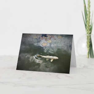 Cartão De Festividades Koi Fish Pond