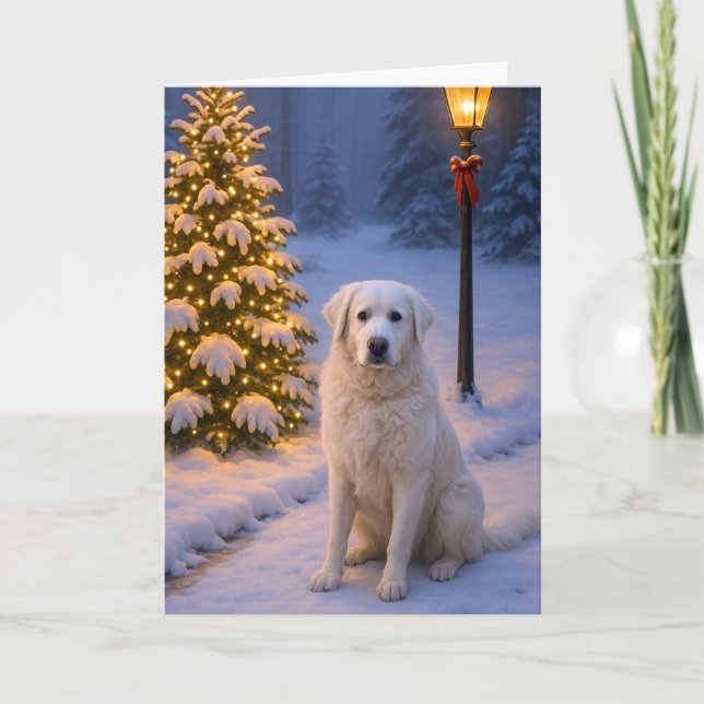 Cartão De Festividades Kuvasz Holiday Card (Frente)
