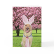 Laboratório da páscoa