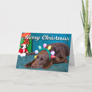 Cartão De Festividades Laboratório de Chocolate no Texto Personalizado de