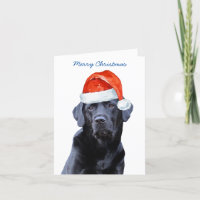 Laboratório Preto Feliz Natal Labrador Cão Papais