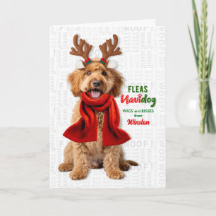 Cartão De Festividades Labradoodle Cachorro Engraçado Pulgas Navidog com