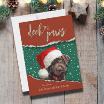 Labrador Chocolate Festivo Chapéu de Papai Noel Ca