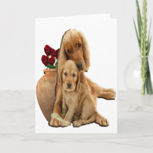 Cartão De Festividades Labrador e cachorros