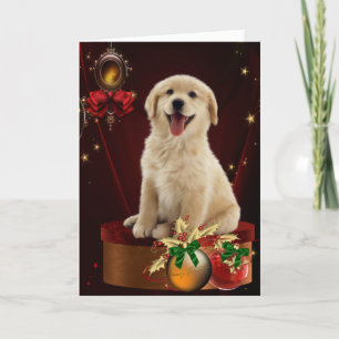 Cartão De Festividades Labrador Golden Retriever Christmas Cards