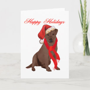 Cartão De Festividades Labrador Retriever Chocolate Natal