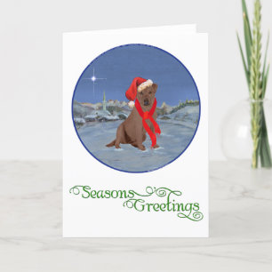 Cartão De Festividades Labrador Retriever Chocolate Natal