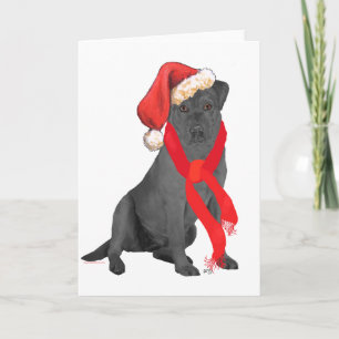 Cartão De Festividades Labrador Retriever Preto de Natal