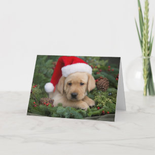 Cartão De Festividades Labrador Retriever Puppy Com Papai Noel