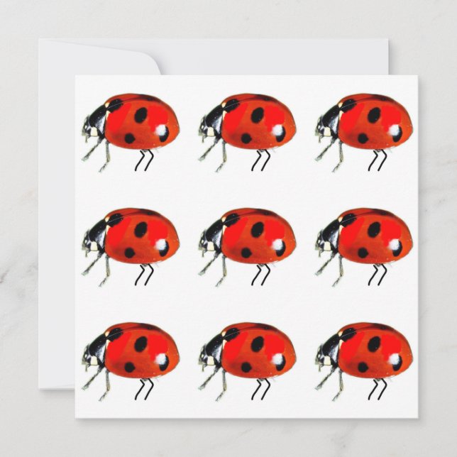 Cartão De Festividades Ladybugs Notecard (Frente)