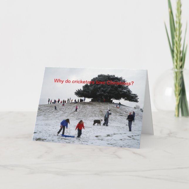 Cartão De Festividades Lamas (Frente)