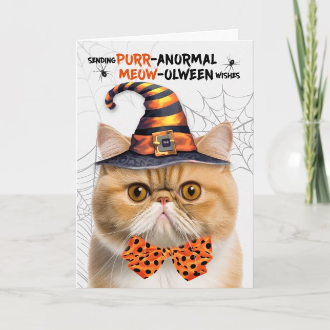 Cartão De Festividades Laranja Exótica Halloween Gato PURRolinterm anorma (Frente)