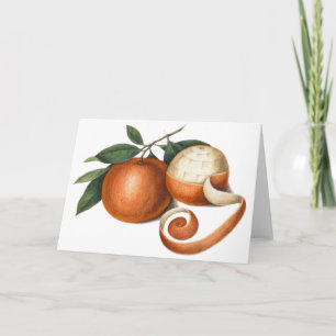 Cartão De Festividades Laranjas de mandarim: Pintura antiga da China