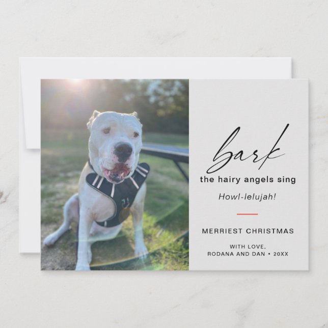 Cartão De Festividades Latido De Cachorro Moderno Os Ângulos Láteos Canta (Frente)