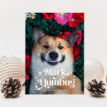 Cartão De Festividades LATIDO HUMBUG Engraçado Natal<br><div class="desc">Cartão-modelo de foto de Natal bonito e engraçado para os donos de cães com um texto de tipografia retrô no topo que diz "humor de latido" com sua foto de cachorro.</div>