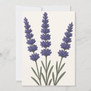 Cartão De Festividades Lavanda Clássica de Arte Botânica