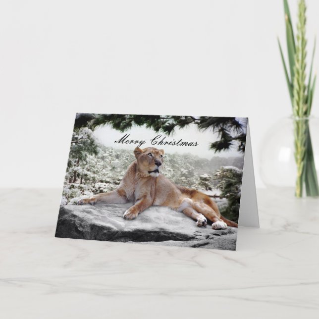 Cartão De Festividades Leão no Natal (Frente)