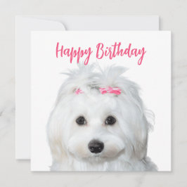 Cartão De Festividades Leitura Maltesa Branca