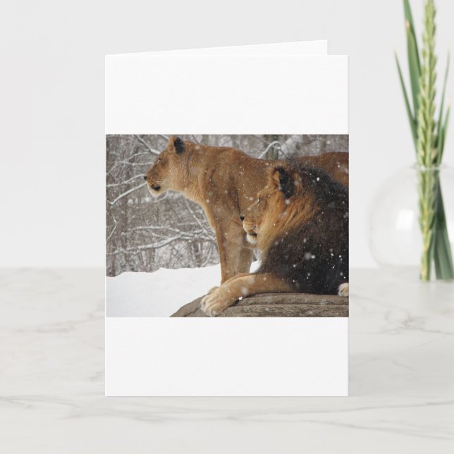 Cartão De Festividades Leões (Frente)