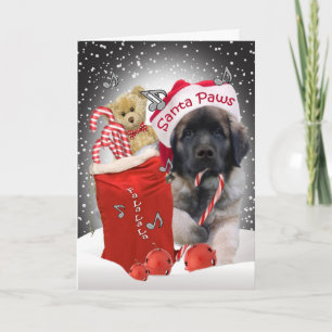 Cartão De Festividades Leonberger Santa Paws Christmas Card