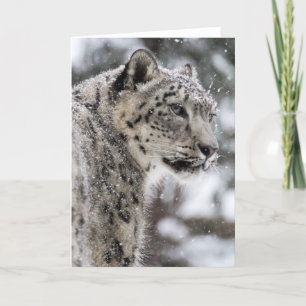 Cartão De Festividades Leopardo-da-neve na neve