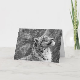Cartão De Festividades Leopardo de Neve Paciente