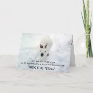 Cartão De Festividades "Let it Snowbunny" Greeting Card :)
