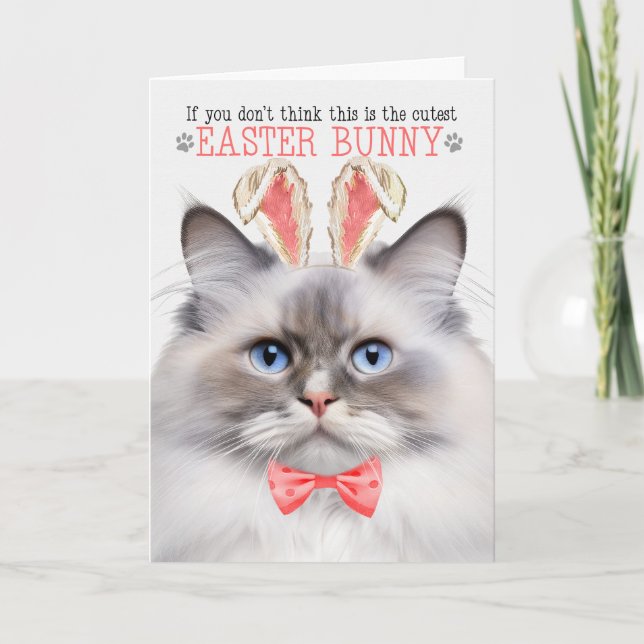 Cartão De Festividades Lilic Point Ragdoll Cutest Easter Bunny Gatinho Pu (Frente)