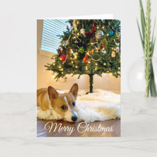 Cartão De Festividades Linda árvore de natal Corgi personalizada