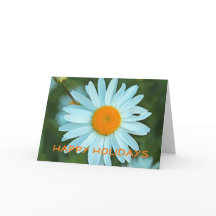 Linda flor de margarida branca férias felizes