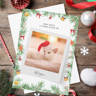 Cartão De Festividades Linda Lista Foto de Gato de Pet Engraçado, Natal P