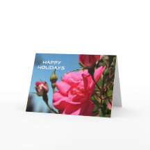 Lindas flores de rosa cor-de-rosa felizes férias