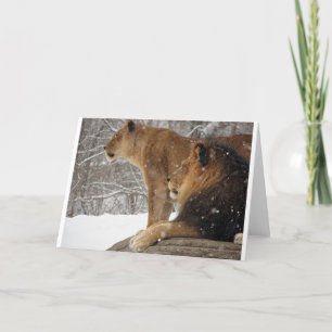 Cartão De Festividades Lions