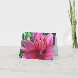 Cartão De Festividades Lírio Stargazer Rosa no Jardim