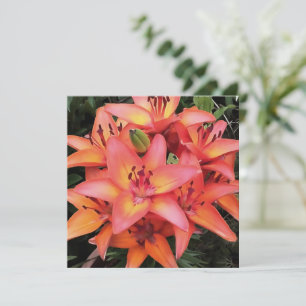 Cartão De Festividades Lírios de Jardim Colorido de Coral Artistício