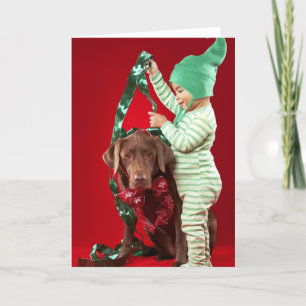 Cartão De Festividades Little boy decorating a dog