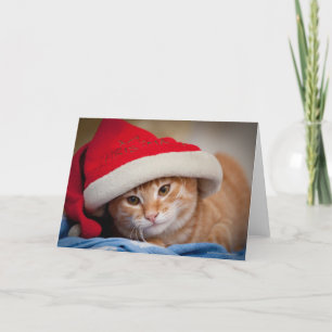 Cartão De Festividades Little Kitten in Red Christmas Hat
