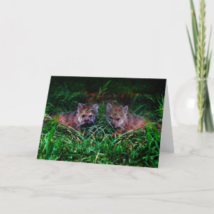 Cartão De Festividades Lobo Cubs