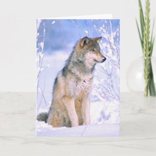 Cartão De Festividades Lobo de Madeira Sentado em Neve