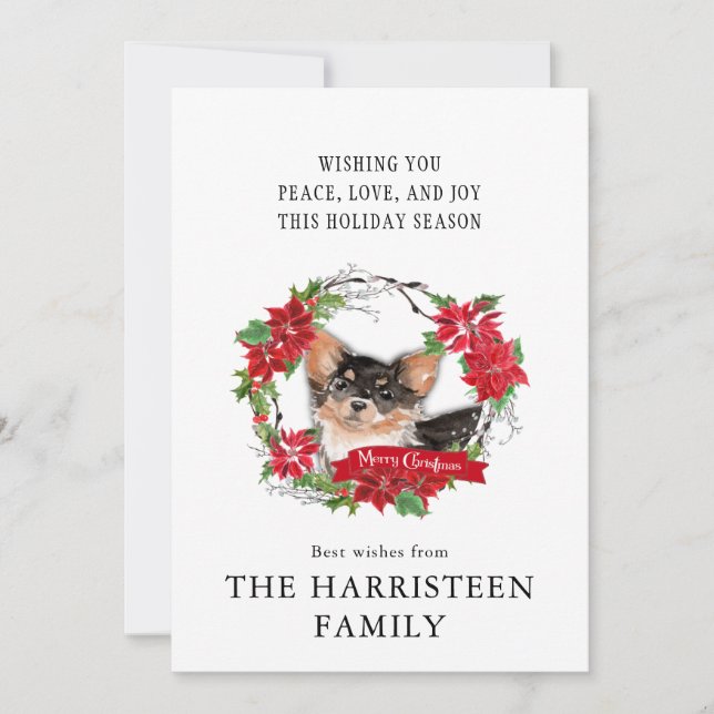 Cartão De Festividades Longhair Chihuahua Watercolor Poinsettia Natal (Frente)