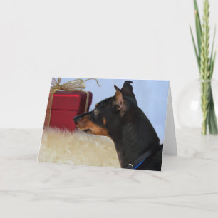 Cartão De Festividades Looking for Santa Min Pin Dog Card