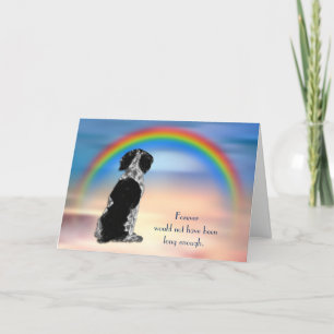 Cartão De Festividades Loss of Black Spaniel Rainbow Sympathy Card