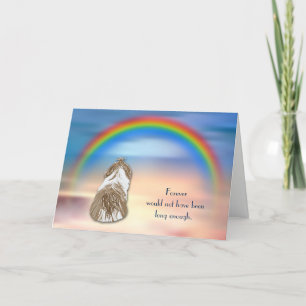 Cartão De Festividades Loss of Shih Tzu Dog Rainbow Sympathy Card