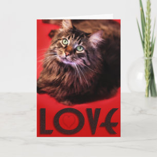 Cartão De Festividades LOVE Card