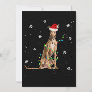 Cartão De Festividades Luz de Natal Whippet Fofo Papai Noel Whippet Natal